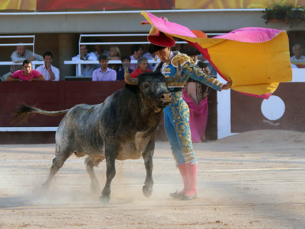 Variado en los quites