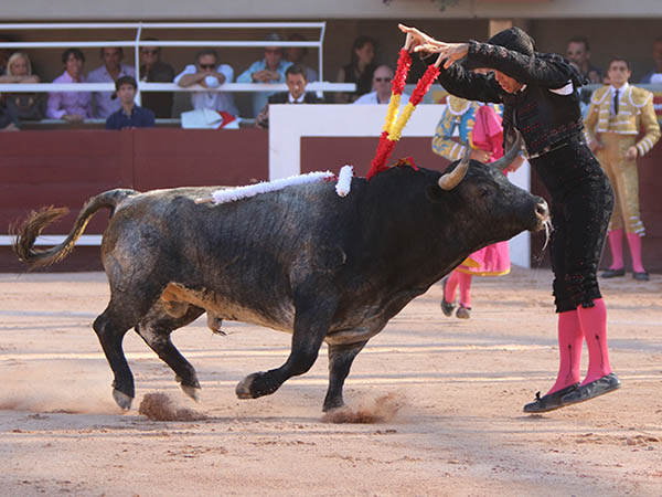 Banderillas en grana y gualda