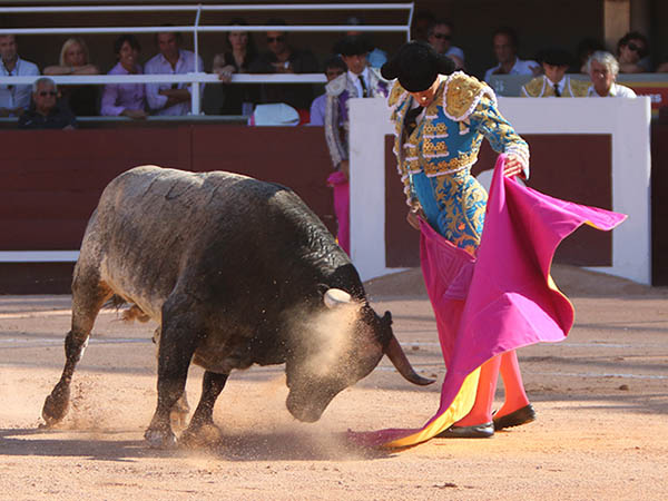 Escribano, primer espada
