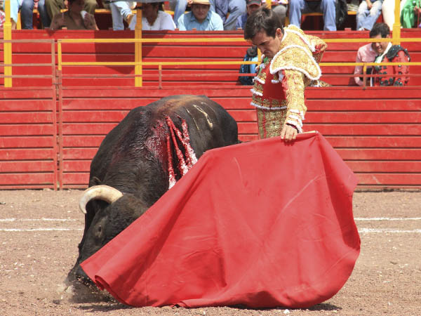 Toreo en redondo