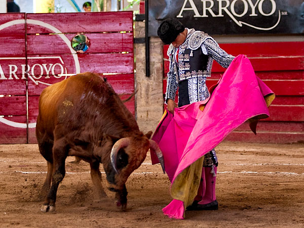 Buenas maneras de Olguin