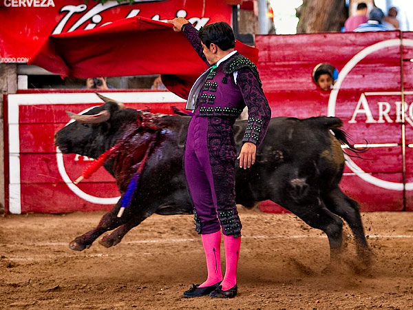 Inicio con alegr�a