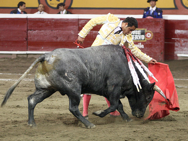 Angelino estir�ndose