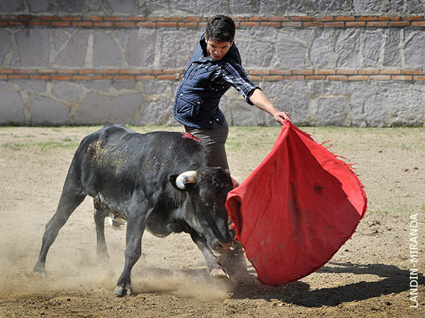 Extensi�n al natural