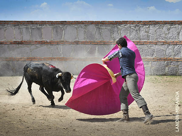 Zapopinas norte�as