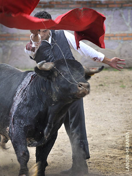 Remate de Leo Ibarra