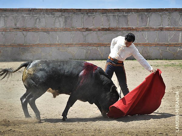 Reposo en los naturales