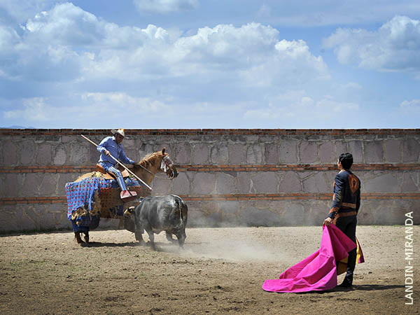 Al peto con tranco y son