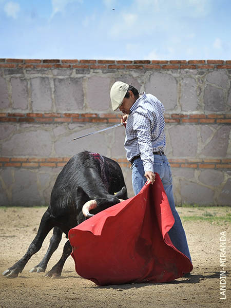 Zurda de Yayo Robledo