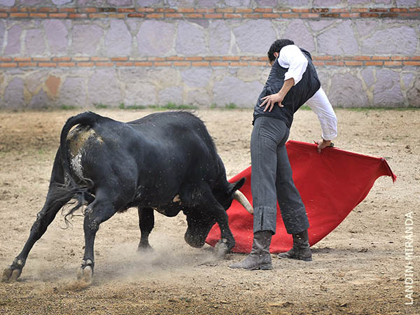 La nobleza del ejemplar