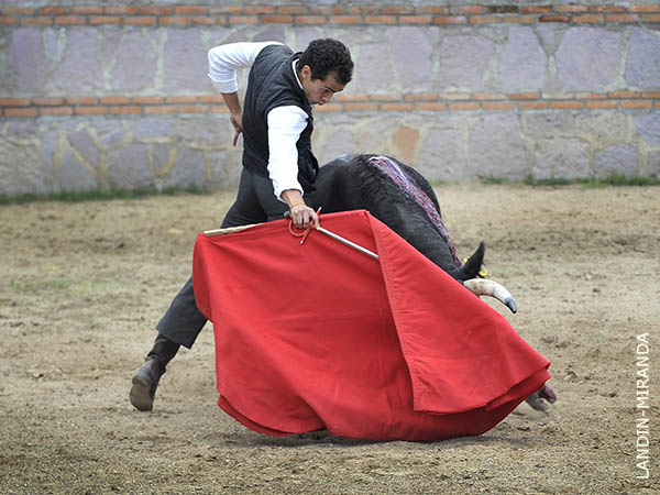 Leonardo Ibarra remat� la faena