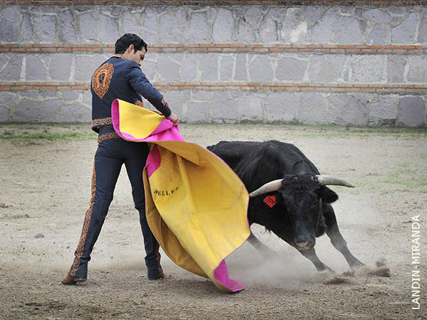 Coloc�ndolo en los medios