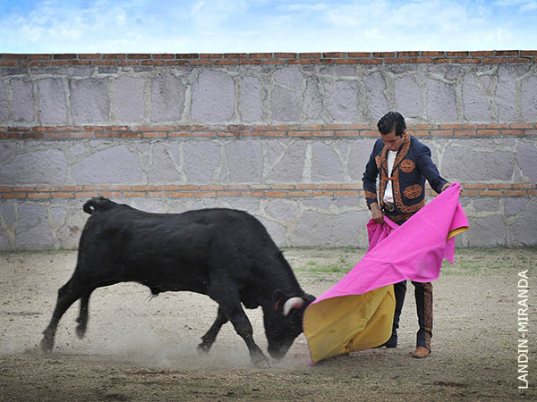 Ver�nicas al primer novillo