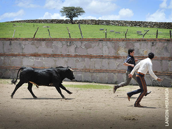 Collera de Israel y Antonio