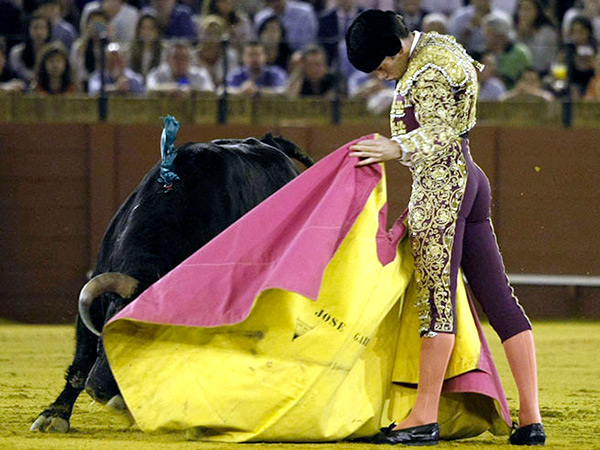 Una ver�nica de Jos� Garrido