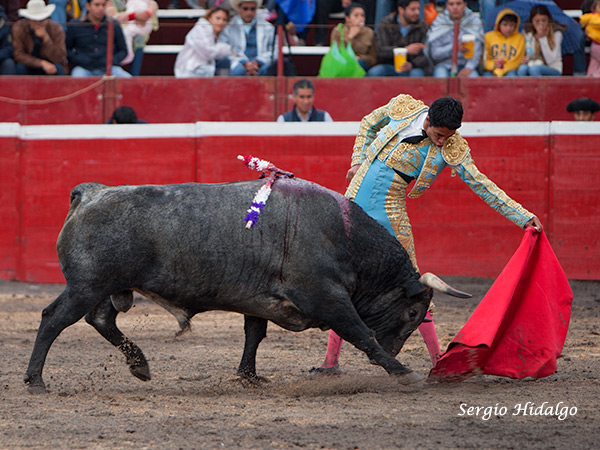Flores, mostrando gran calidad
