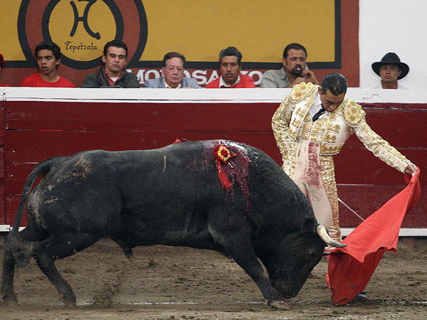 Torero