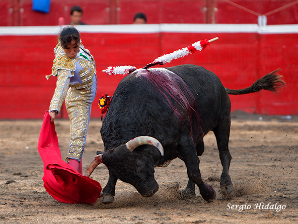 Un pavo el quinto de la tarde