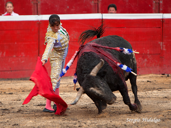Cornamenta de respeto