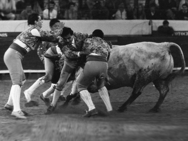 La pega en los medios