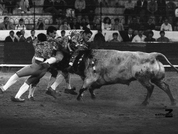 Un capirote con m�s de 500