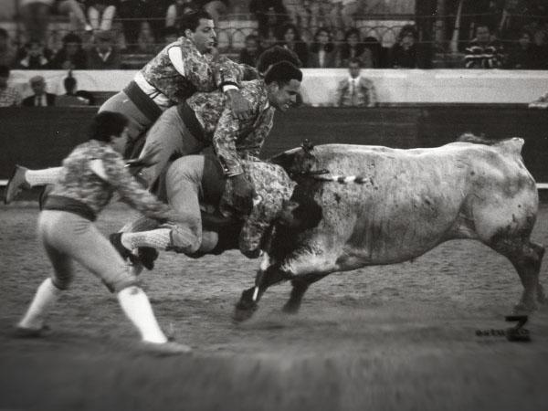 Admirable actuaci�n