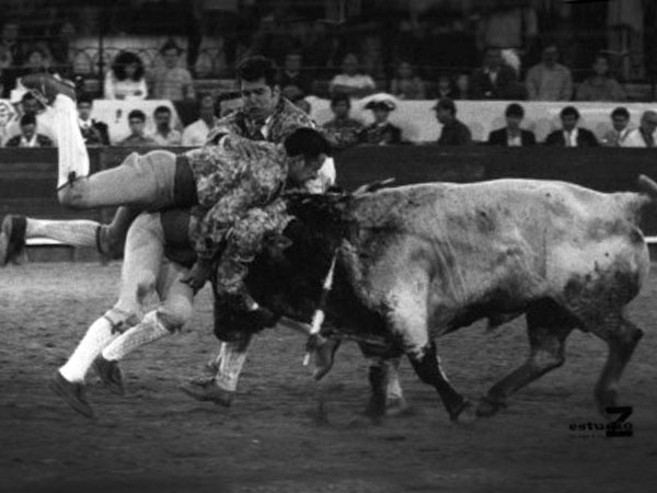 La afici�n portuguesa de testigo