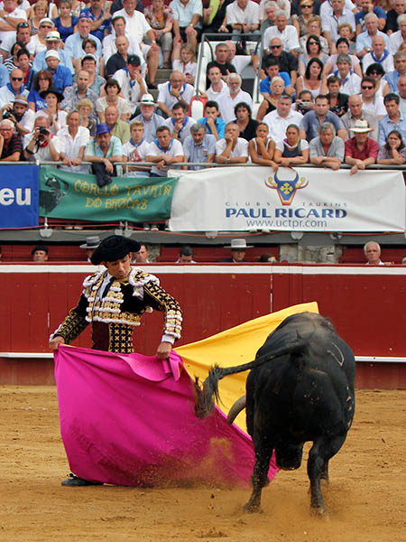 Zapopinas hidroc�lidas