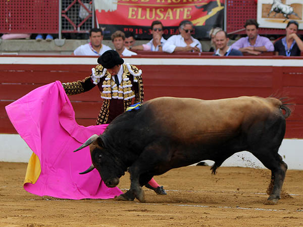 El saludo al casta�o