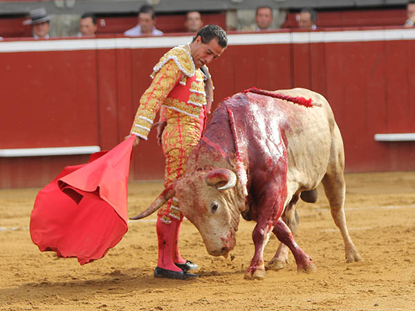 La muleta de Iv�n Fandi�o