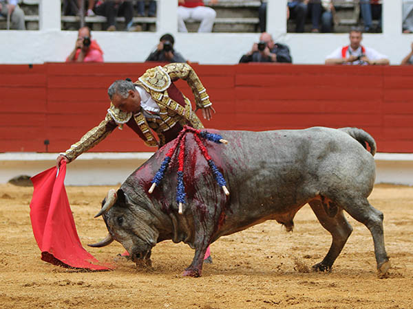 Dimensi�n al muletazo