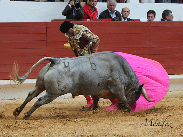 La revolera del Brujo