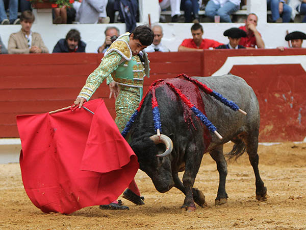 Ce�ido por el derecho