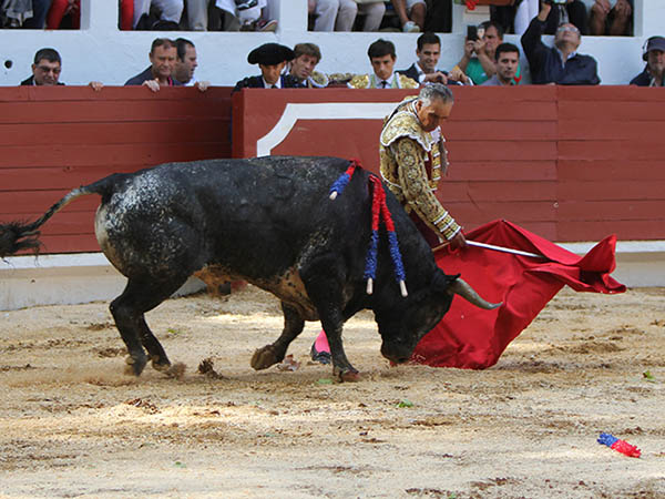 Calibrando al ejemplar