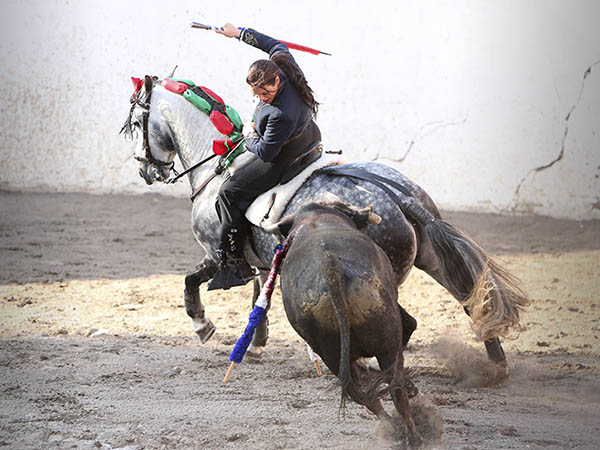 Encelando al ejemplar