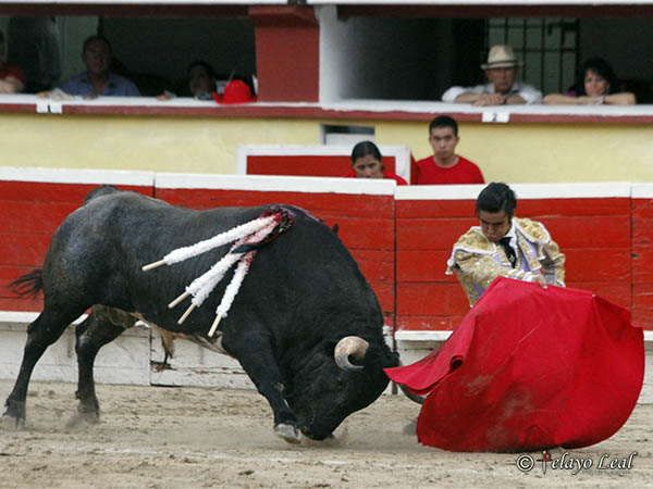 A los medios con doblones