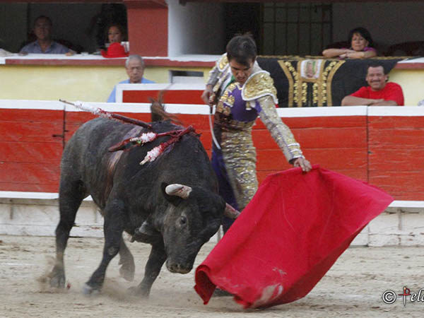 El mejor toro de la tarde