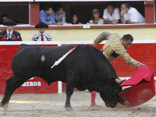 Lo meti� en vereda