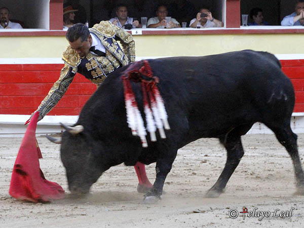 Hab�a poca espectativa del toro