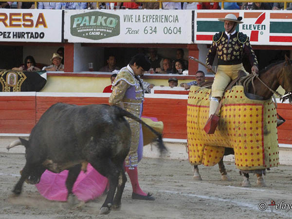 A la montura de David