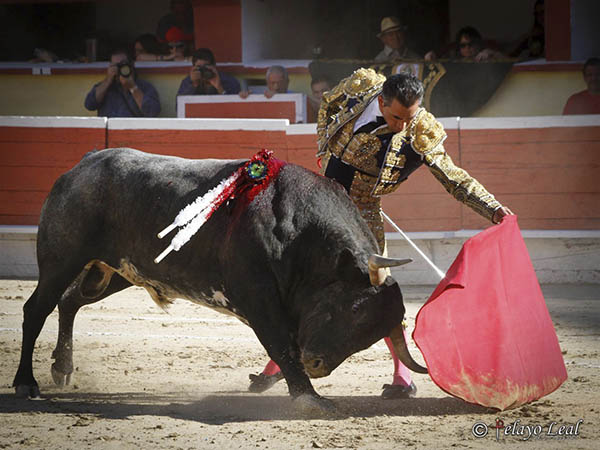 Detalles por el izquierdo