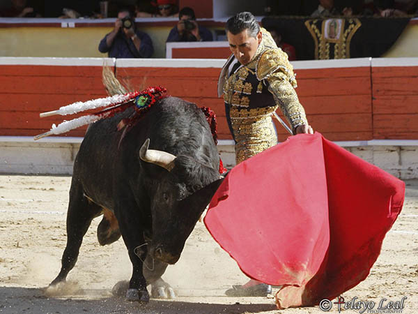 Buen planteamiento de faena