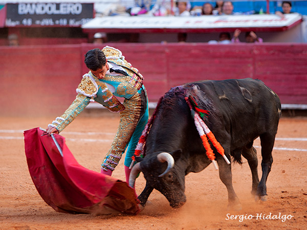 Fundidos en uno solo