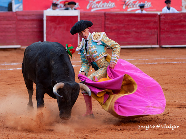 Llev�ndolo al caballo