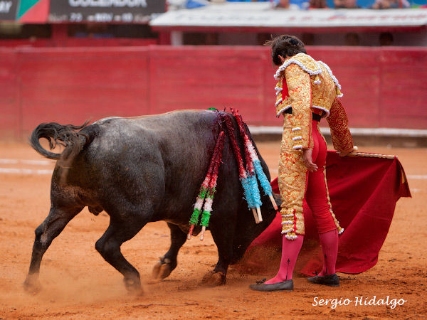 Torero con gran futuro