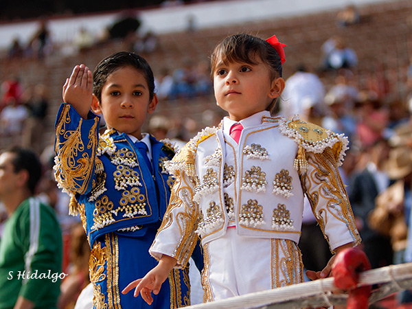 El futuro de la fiesta brava