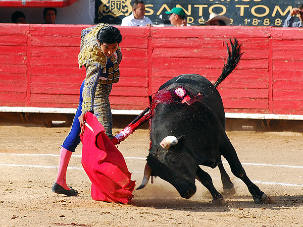 Largo trazo de Ernesto