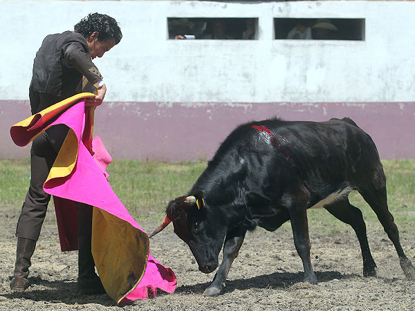 Embestidas de calidad