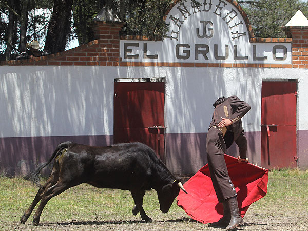 Tray�ndola toreada