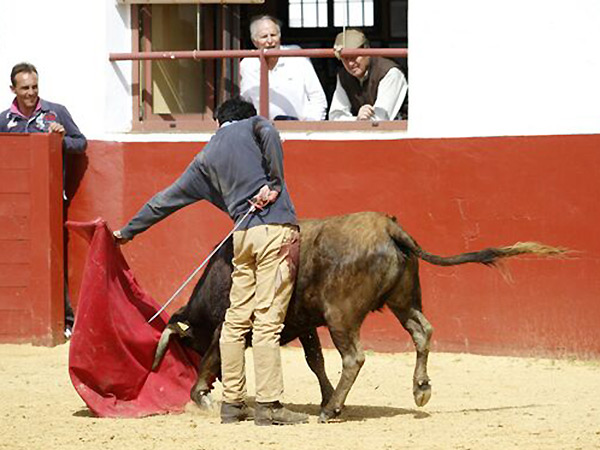 Asentadas las plantas